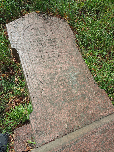 Eliza Sheath